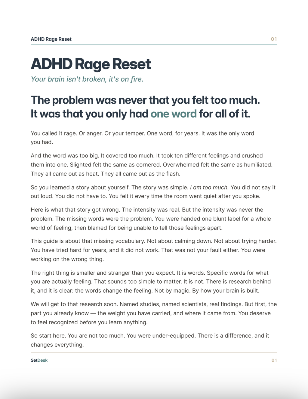 ADHD Rage Reset